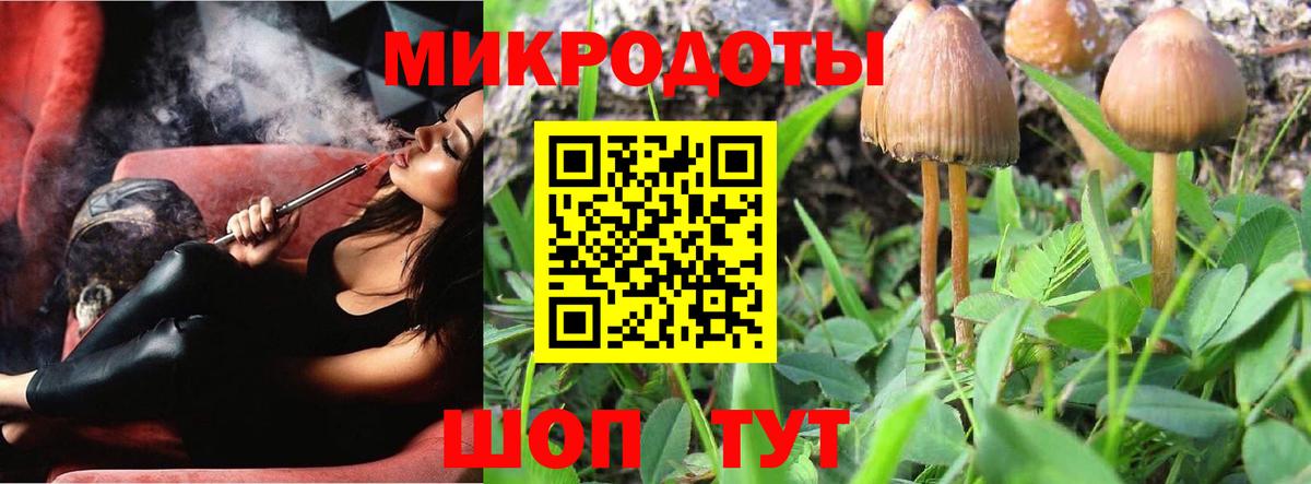 Долгопрудный  Галлюциногенные грибы GOLDEN TEACHER  Вход с VPN 